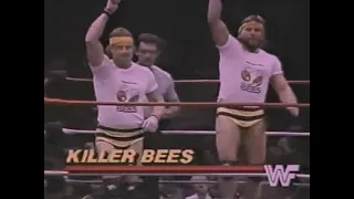 Killer Bees vs Hart Foundation   All Star Wrestling Feb 2nd, 1986