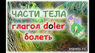 Испанский для начинающих Урок 12 Части тела - partes del cuerpo №4 - глагол doler (www.espato.ru)