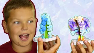 Magic Crystal Tree Science Experiment to do at home!!!