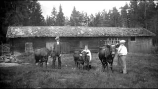 Svensk folkmusik - Låt Till Far