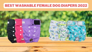 Top 5 Best Washable Female Dog Diapers Reviews 2022