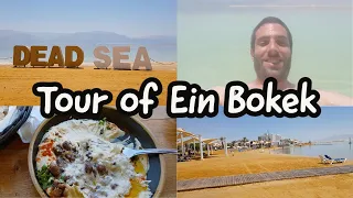 Floating on the Dead Sea at Ein Bokek - Israel | Adventures in Israel | Travel Vlog | Gur Eats