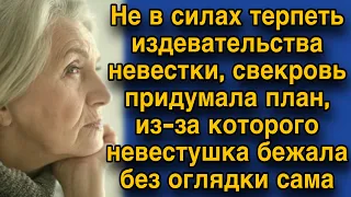 Невестка сживала со свету свекровь, но та поставила её на место...