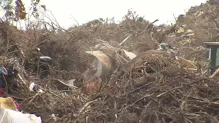 Miami-Dade County hopes to clear last of 3 million cubic meters of debris