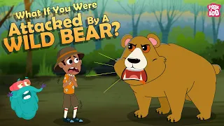 What If You Were Attacked By A Bear? | How to Survive Bear Attack? | Dr Binocs Show | Peekaboo Kidz