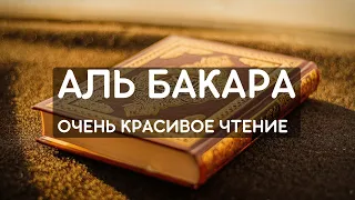 АЛЬ БАКАРА - ЗАЩИТА ВАШЕГО ДОМА ОТ ВСЕГО ПЛОХОГО. СЛУШАЙТЕ КАЖДЫЙ ДЕНЬ. AL BAQARAH