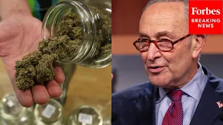 ‘I Am Proud’: Chuck Schumer Touts Being First Senate Majority Leader To Support Legalizing Cannabis