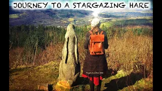 Journey to a stargazing Hare / There and Back Again/ #dailywalk #stargazinghare #walesUK