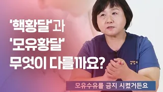 [모유수유] 핵황달? 모유황달? 무엇이 다를까요?