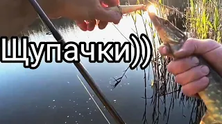 рыбалка 🎣 щурята  атакуют 130 воблер 😁🎣