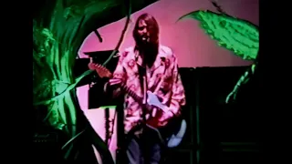 Nirvana - Pennyroyal Tea (Great Western Forum, Los Angeles, CA, 1993) (4K 30 FPS)