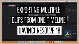 Exporting Clips from one Timeline as Individual Files in DaVinci Resolve 18