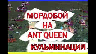 Битва за Ant Queen Часть#3