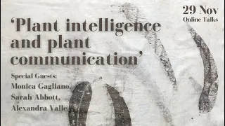 Plant Intelligence & Plant Communication with Monica Gagliano/ Sarah Abbott/ Alexandra Valle