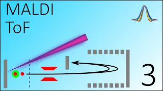 MS Lecture 3b - MALDI and TOF