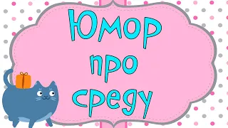 ЮМОР ПРО СРЕДУ! Позитивчик для поднятия настроения!