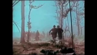 "'Don't Fear the Reaper'" Combat Footage from LZ X-Ray (Battle of Ia Drang)