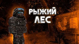 ZIV Благословил меня | STALCRAFT