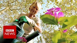 The city turning streets into gardens - BBC News
