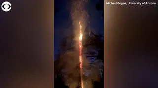 WEB EXTRA: Tree Suffers Fiery Split After Being Struck By Lightning