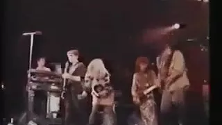 Blondie 1982 the hunter  tour  " one way or another "