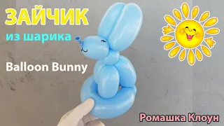 ЗАЙЧИК из шарика como hacer un conejo con globos Balloon Bunny DIY