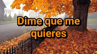 Los Lunes - Dime Que Me Quieres - Letra