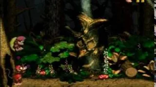 TAS Donkey Kong Country 2 Diddy's Kong Quest SNES in 40:44 by Comicalflop