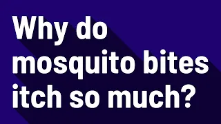 Why do mosquito bites itch so much?