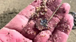 Beautiful California Beach metal detecting