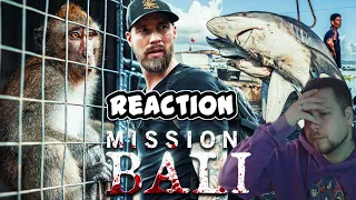 Mission Bali | Robert Marc Lehmann | Reaction Teil 2