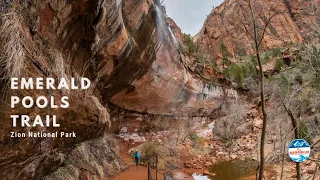 A Complete Guide to Hike Emerald Pools Trail in Zion National Park