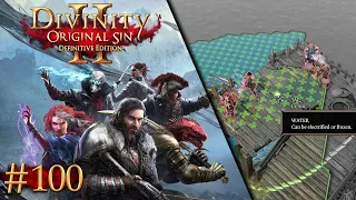 Arrow Storm | Divinity: Original Sin II - Episode #100