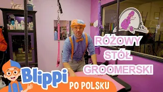 Troska o zwierzęta z Blippim - Urocze zwierzaki w schronisku |  Blippi TV po polsku