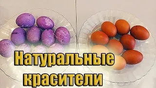 Как покрасить яйца луковой шелухой или каркаде | Натуральные красители