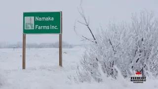 2023 Western Canada Feedlot Management School - Namaka Farms Virtual Tour