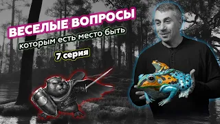 Веселые вопросы которым есть место быть: 7 серия | Доктор Комаровский