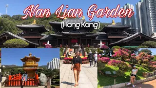 HOW TO  GET TO (NAN LIAN GARDEN) One of the most visited Garden in Hong Kong 🇭🇰