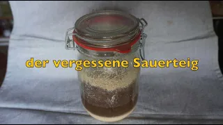 Sauerteig Profiwissen - Der vergessene Sauerteig, oder wie lange ist  Sauerteig eigentlich haltbar?