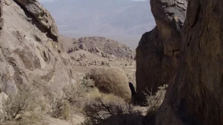 The Oyler House: Richard Neutra's Desert Retreat - 4K Trailer