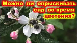 Можно ли ОПРЫСКИВАТЬ деревья во время ЦВЕТЕНИЯ?