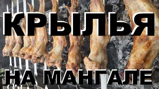 КРЫЛЫШКИ КУРИНЫЕ НА МАНГАЛЕ ШАШЛЫК РЕЦЕПТЫ СЮФ