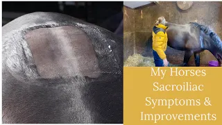 My Horses Sacroiliac Symptoms & Improvements | Equestrian Life