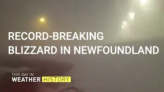 Epic 2020 Winter Blizzard in Newfoundland - This Day in Weather History - January 17, 2020