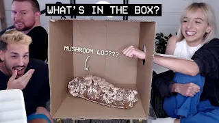 trying to guess WHAT'S IN THE BOX?  (w/ Ricky + Jacob)