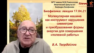 МОЛЕКУЛЯРНЫЕ МАШИНЫ | БИОФИЗИКА (лекция) - ТВЕРДИСЛОВ Всеволод Александрович ФизФак МГУ