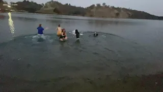 Fair Oaks Dolphins swim team takes a plunge on new Year's Day