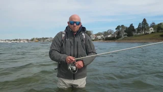 60 Second How-To: Simple Shore Fishing for Striped Bass