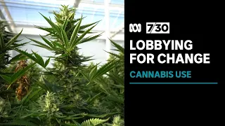 The Legalise Cannabis MPs lobbying for change in Victoria | 7.30