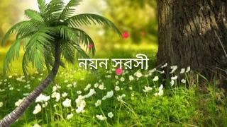 নয়ন সরসী কেন..........(bangali song)....